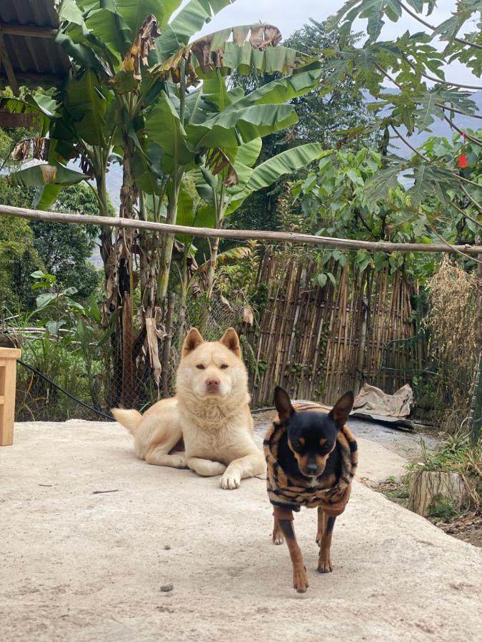 دونغ فان Homie House Thien Huong - Traditional Home المظهر الخارجي الصورة